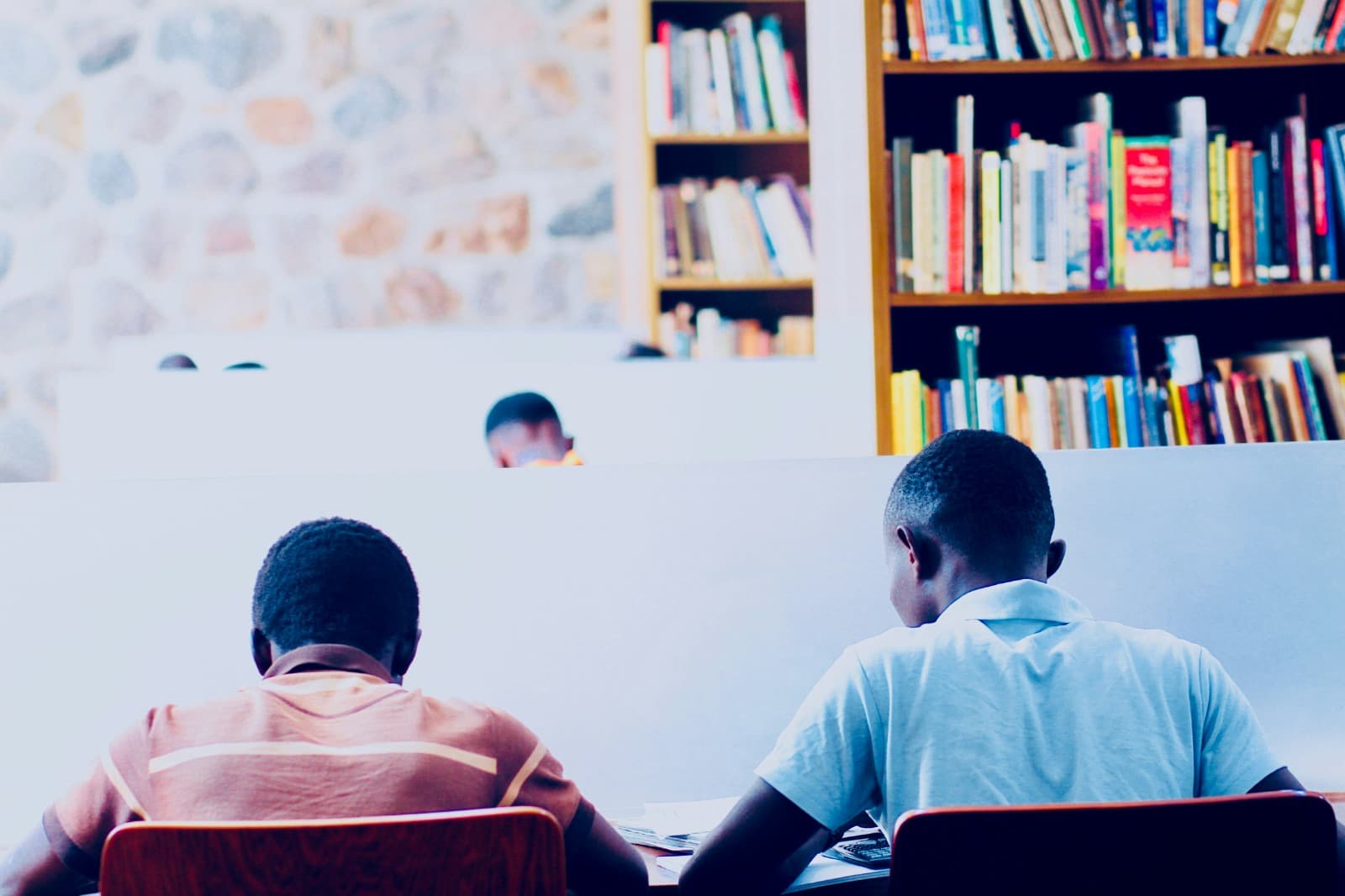 Mentor and student